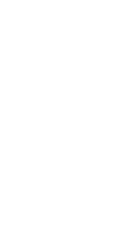 phon icon